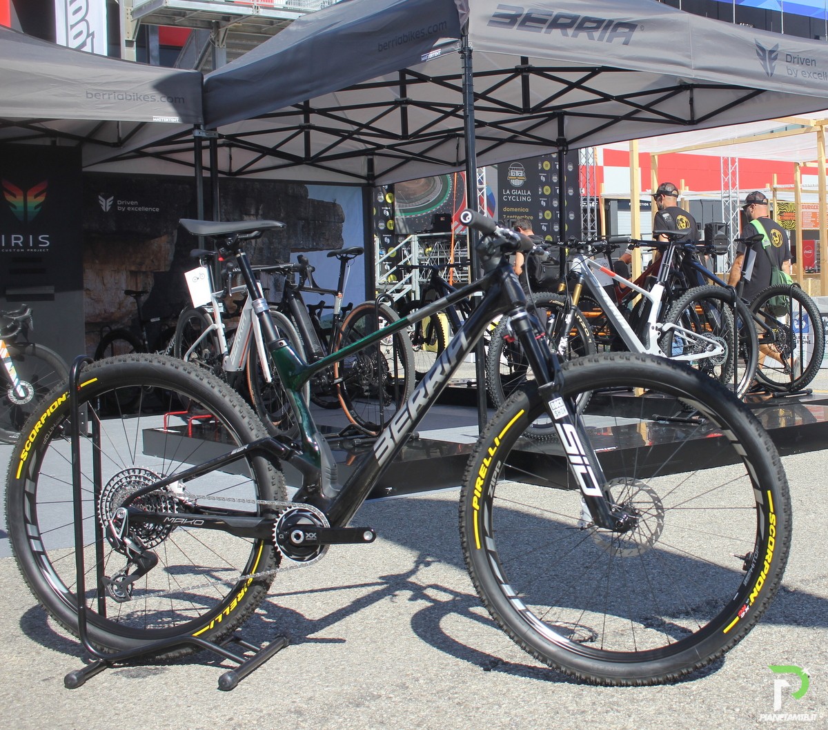 Nuova Berria Mako Evo